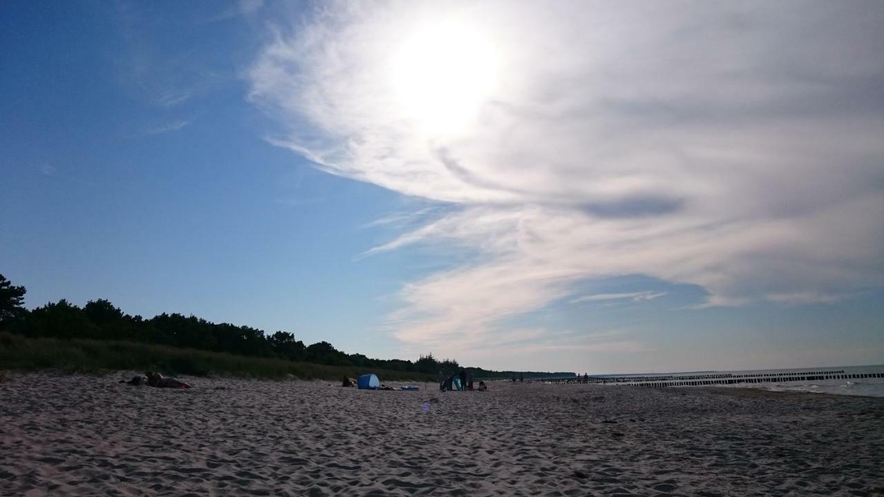 Apartament Haus Nadine Zingst Zewnętrze zdjęcie